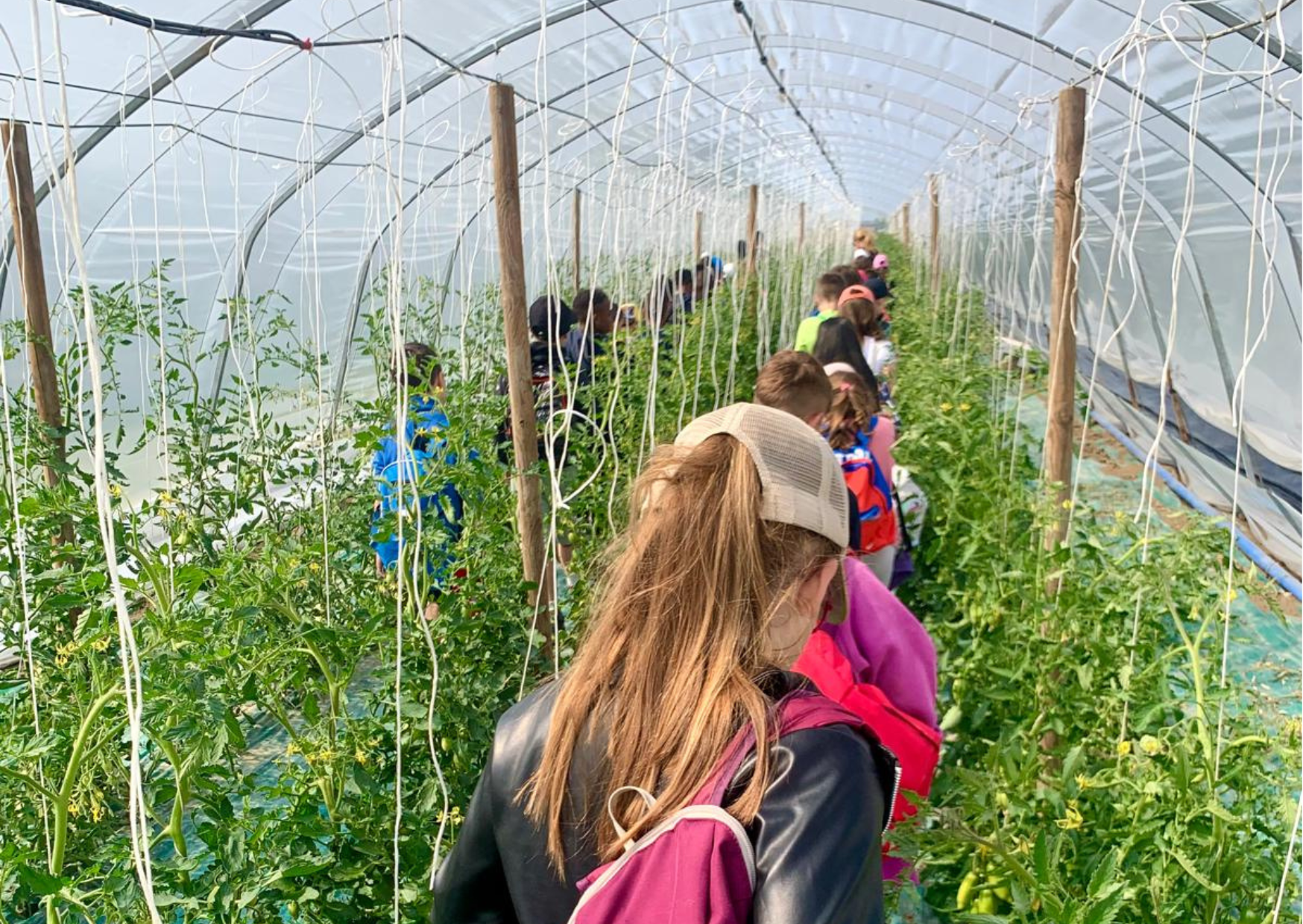 gusto puro visita guidata in campagna nella natura a Piacenza Fiorenzuola per scolaresche bambini camposcuola